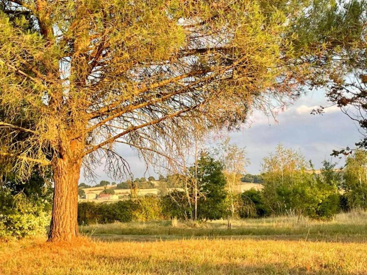 فيلا Le Parc De Gouts Aiguillon المظهر الخارجي الصورة