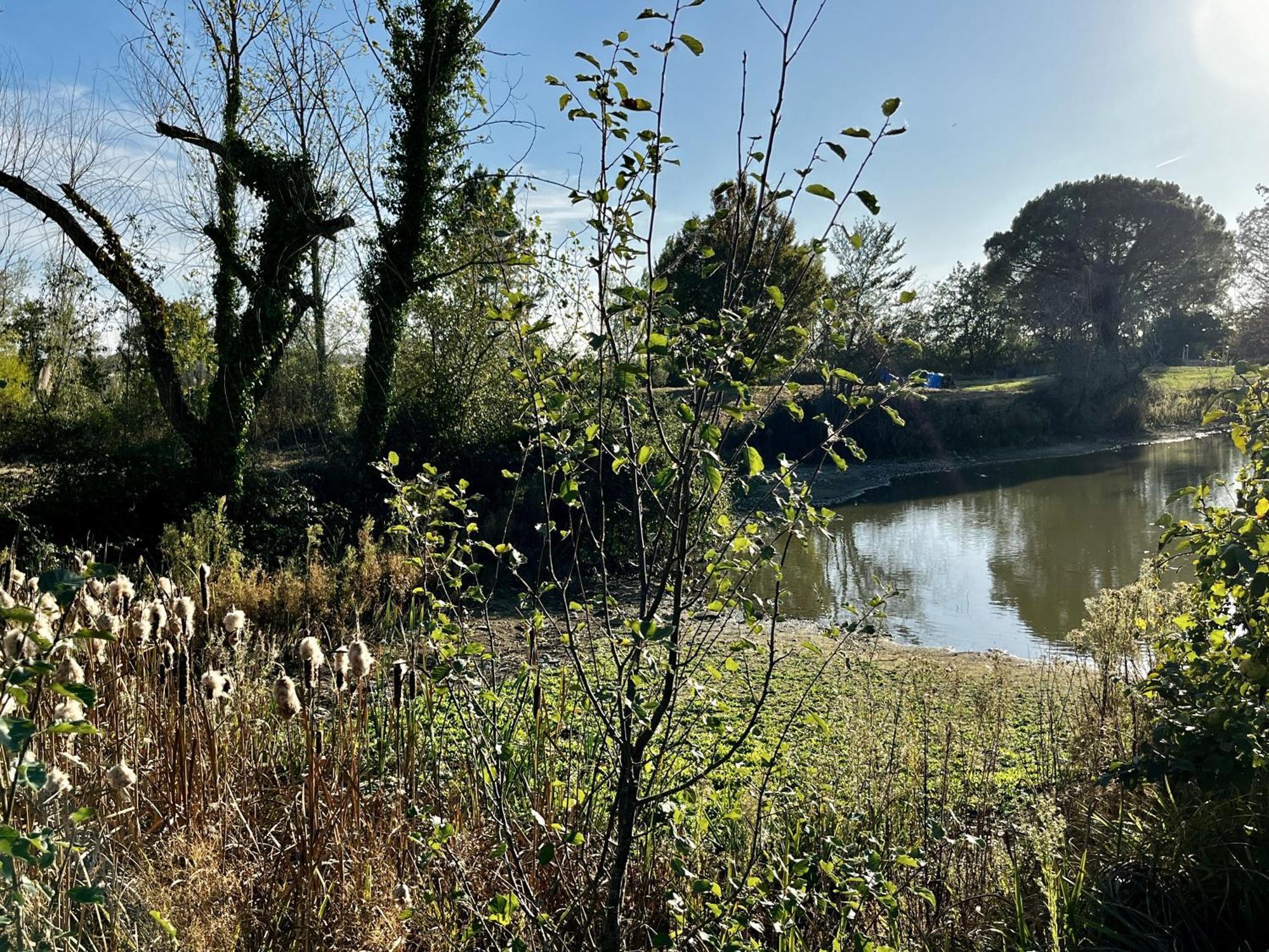 فيلا Le Parc De Gouts Aiguillon المظهر الخارجي الصورة