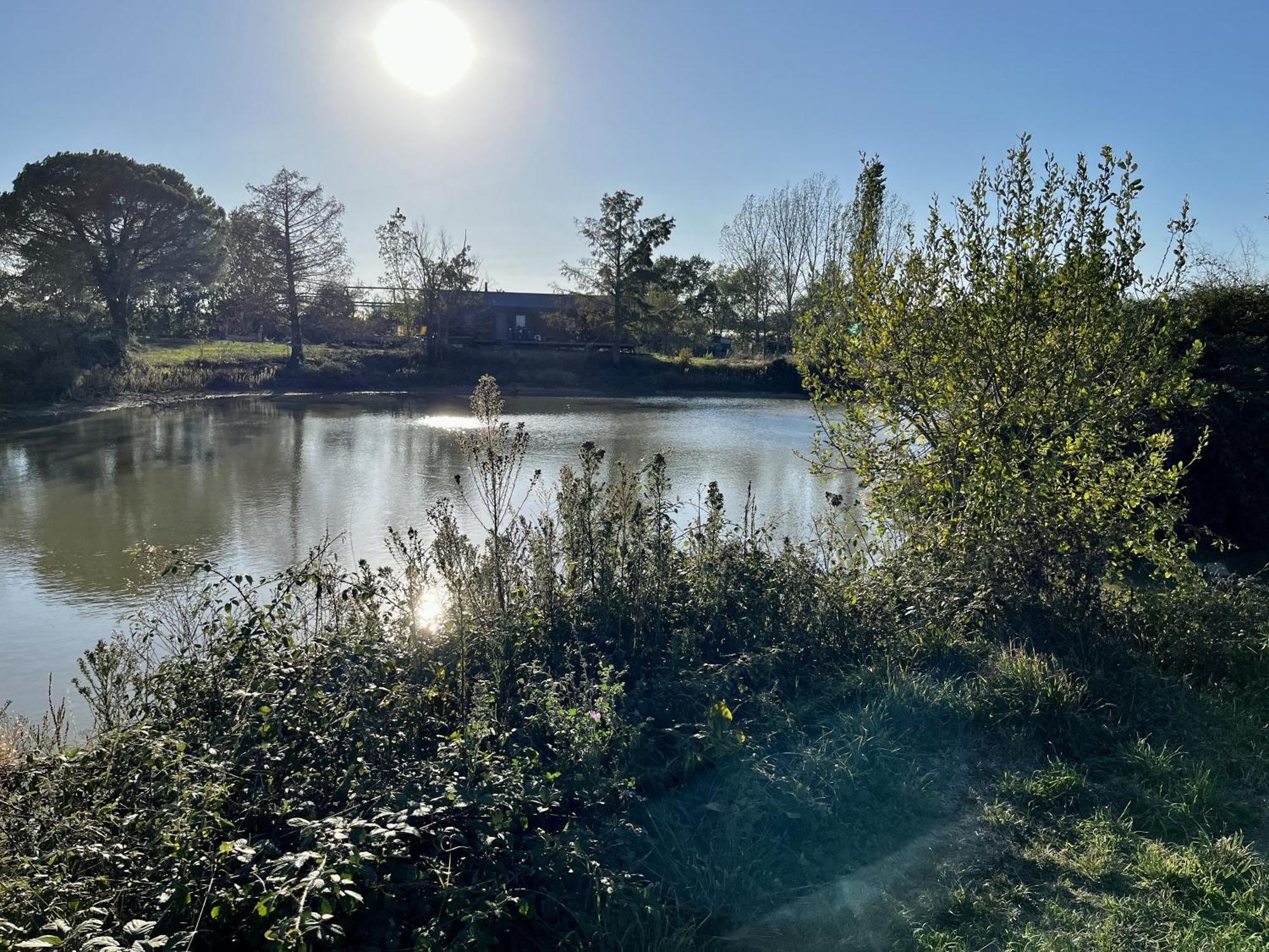 فيلا Le Parc De Gouts Aiguillon المظهر الخارجي الصورة